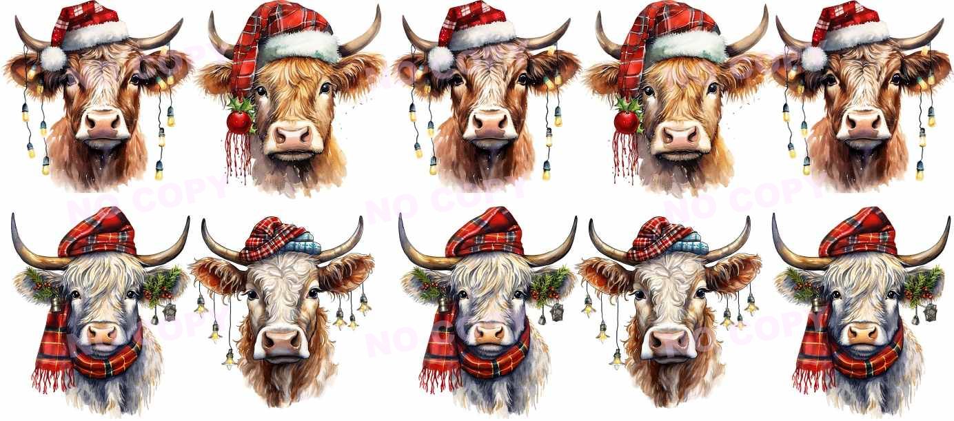 Y19972-Highland Cow
