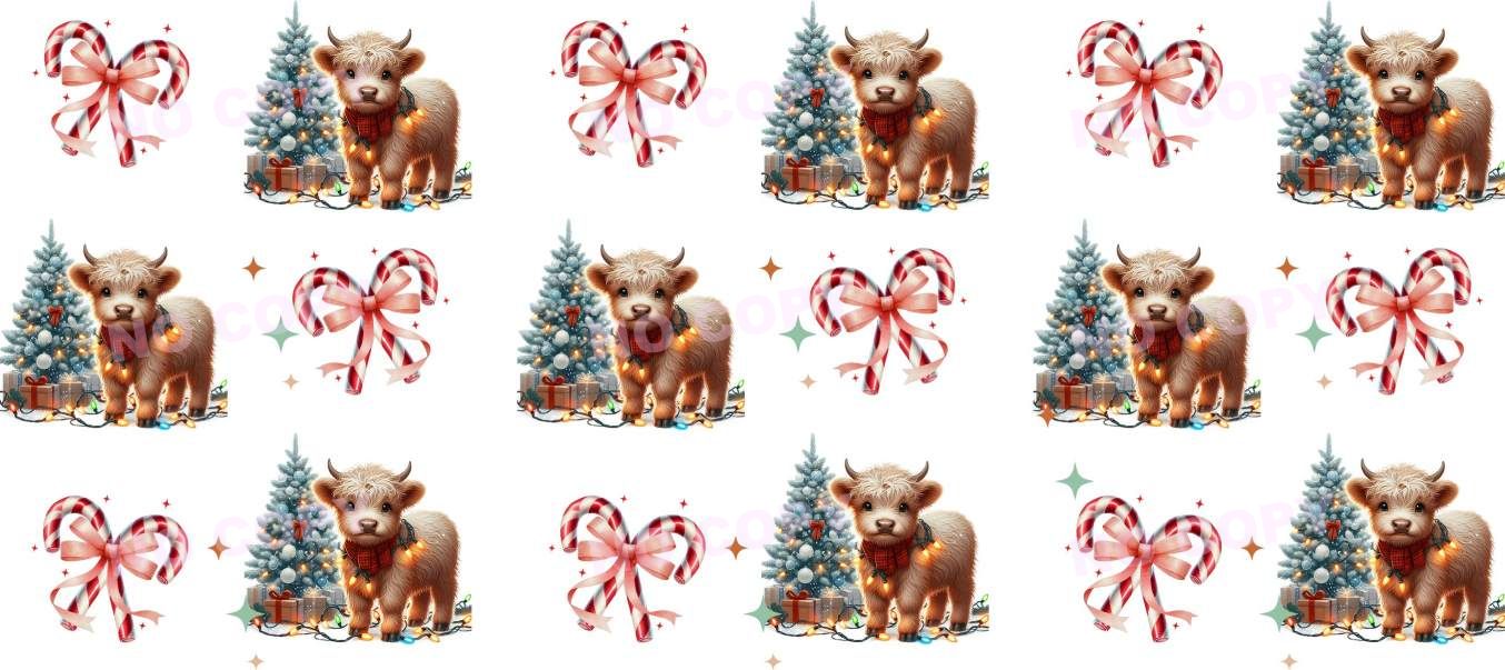 Y19979-Highland Cow