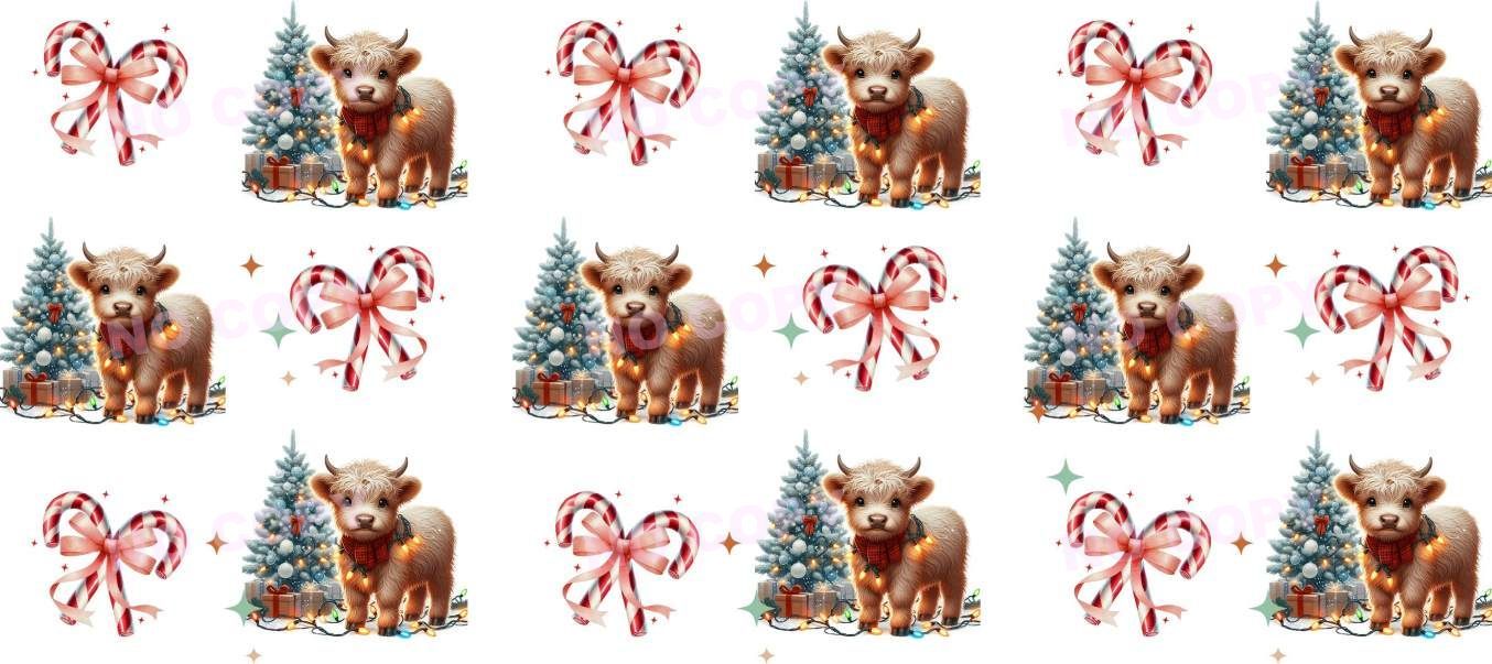 Y19979-Highland Cow