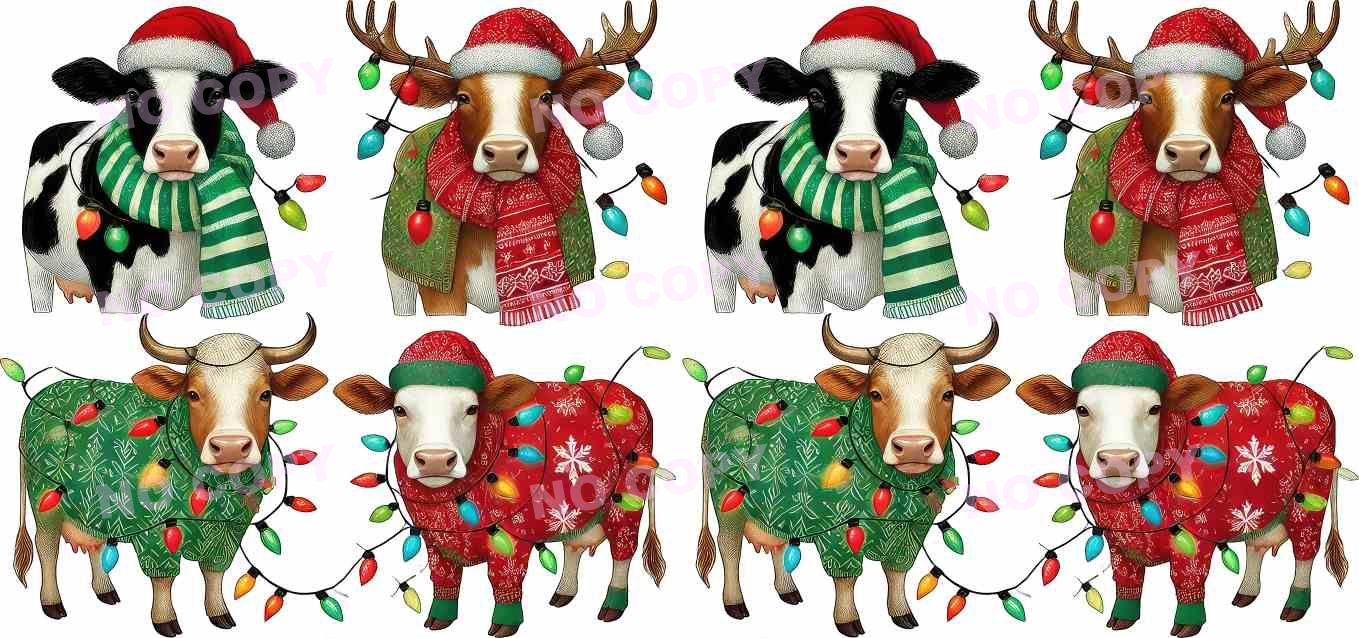 Y19983-Highland Cow
