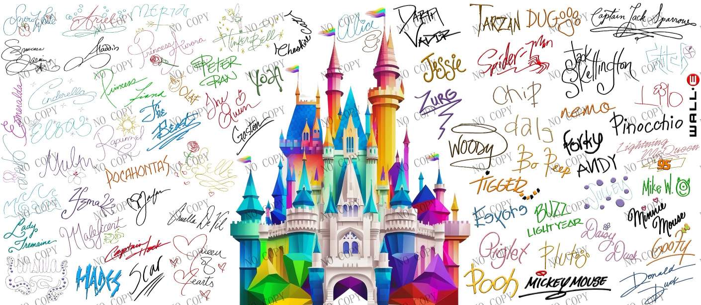 Y20300-Disney