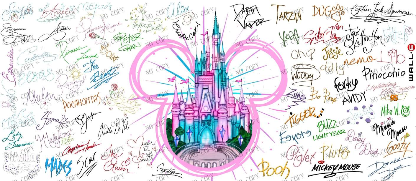 Y20301-Disney