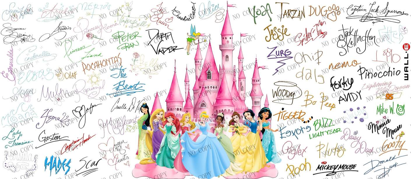 Y20309-Disney