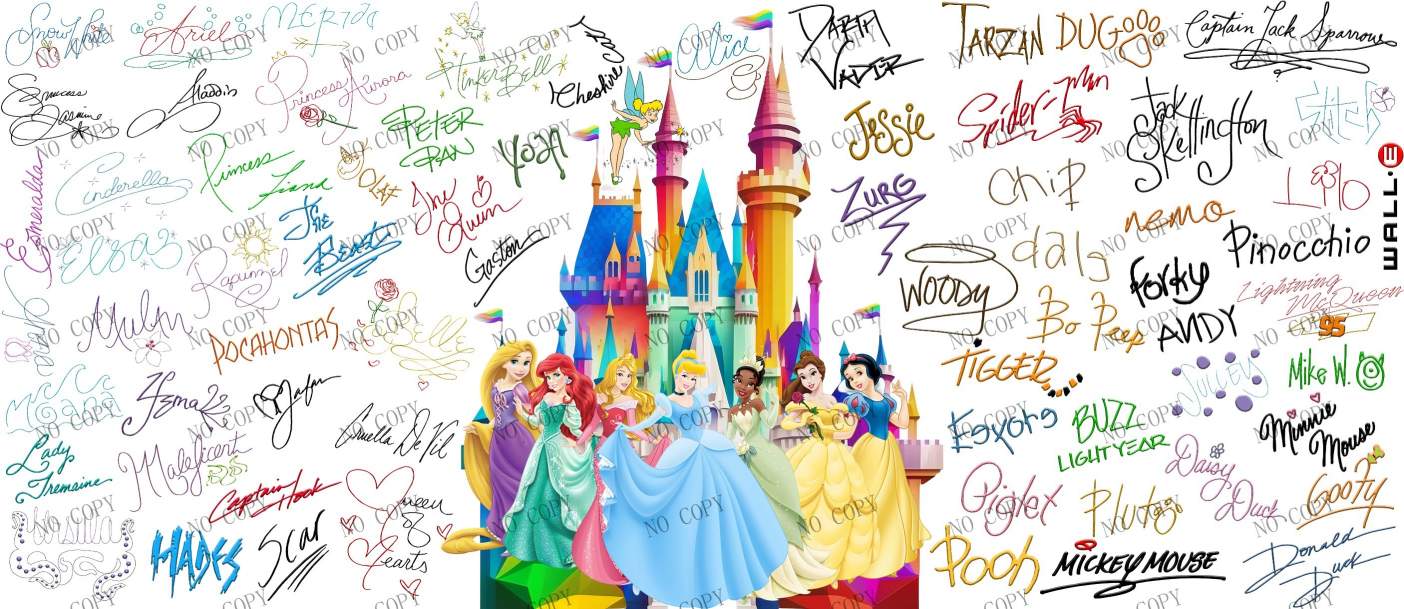 Y20310-Disney