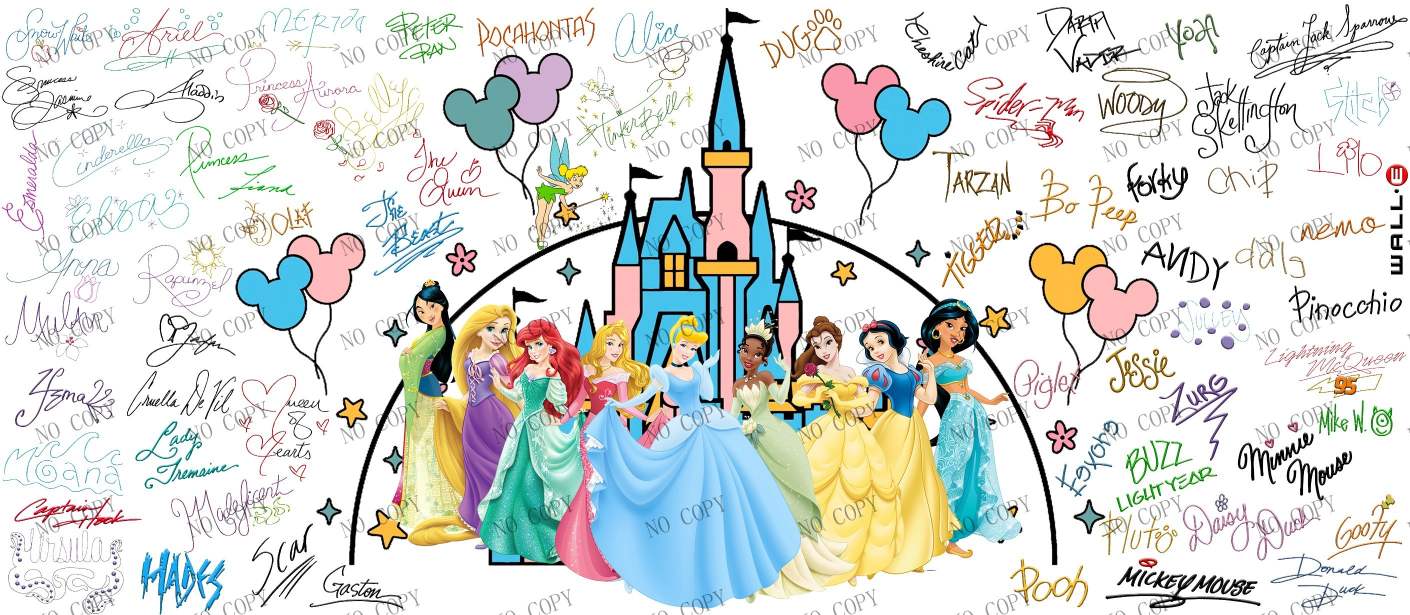 Y20312-Disney
