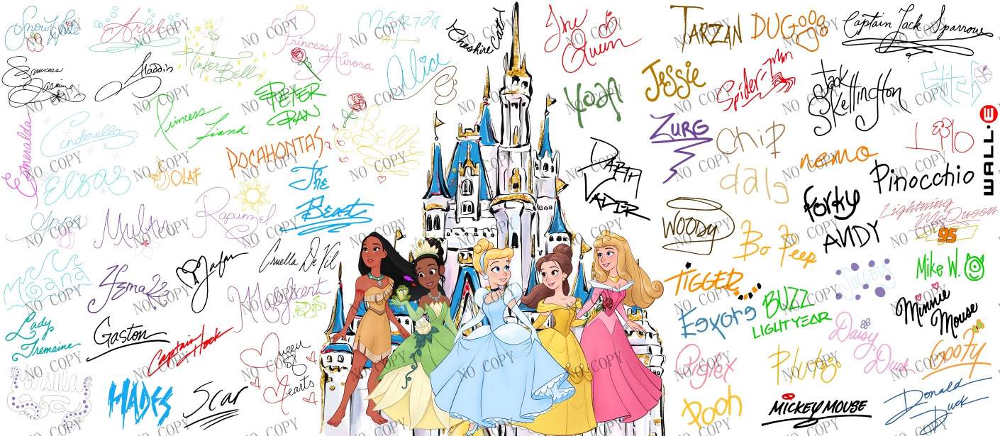 Y20313-Disney