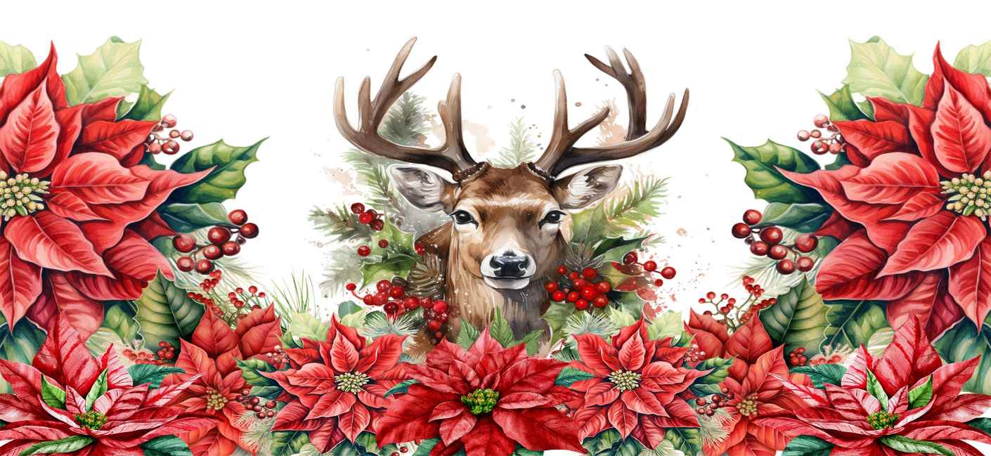Y20437-Christmas