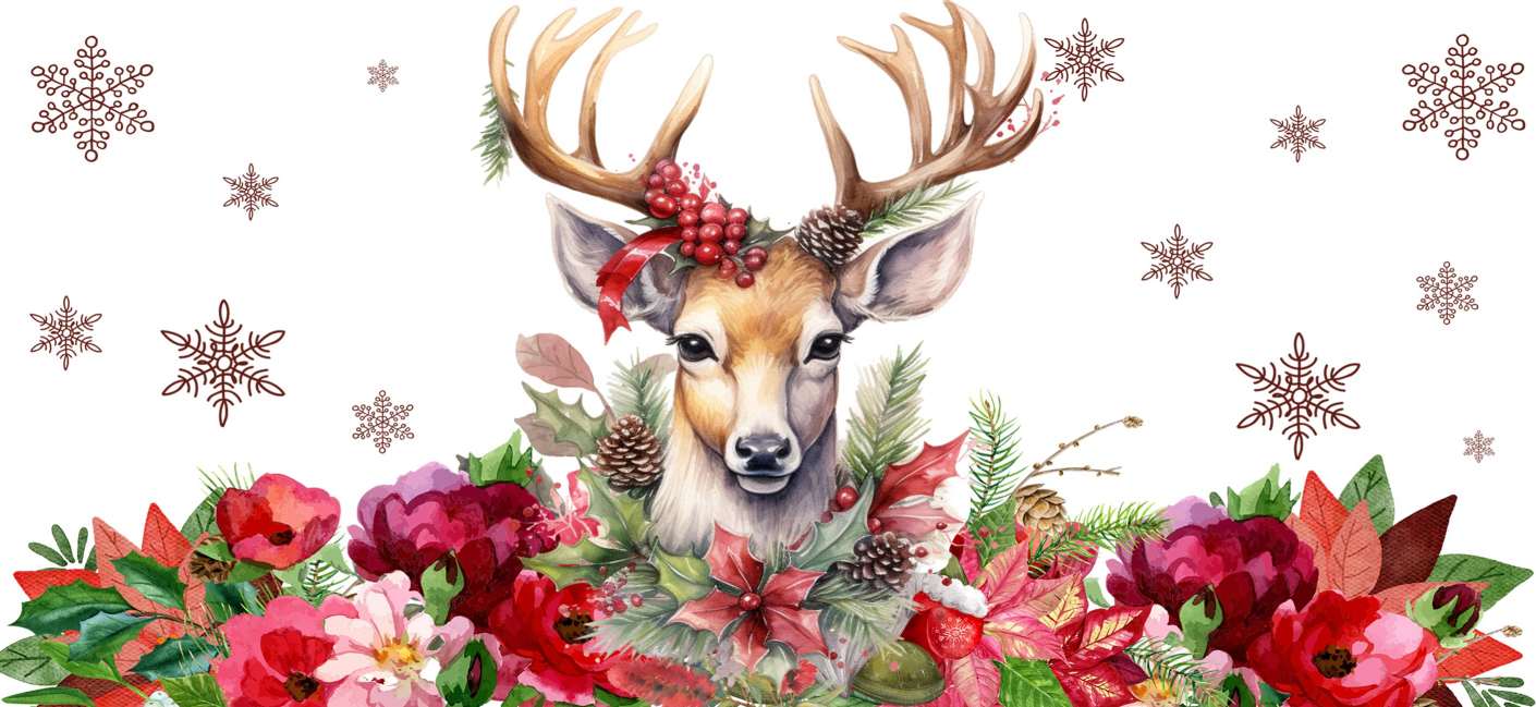 Y20444-Christmas