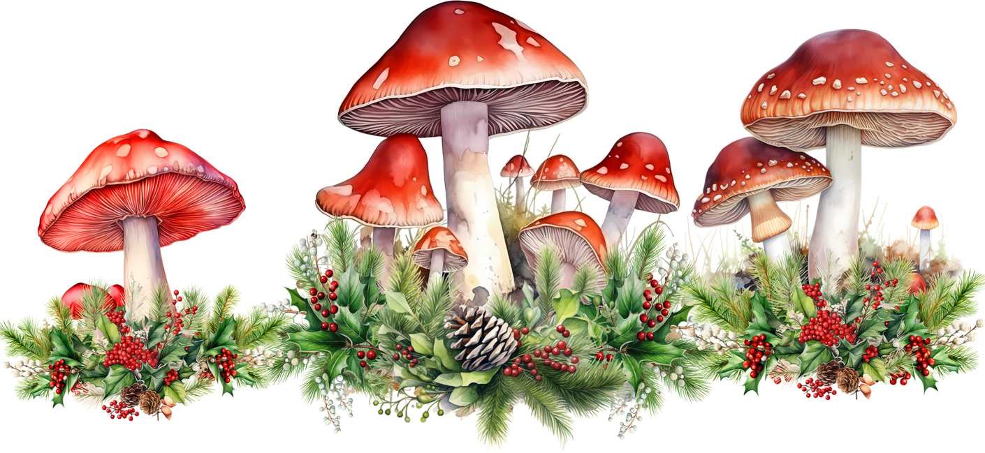 Y20447-Christmas