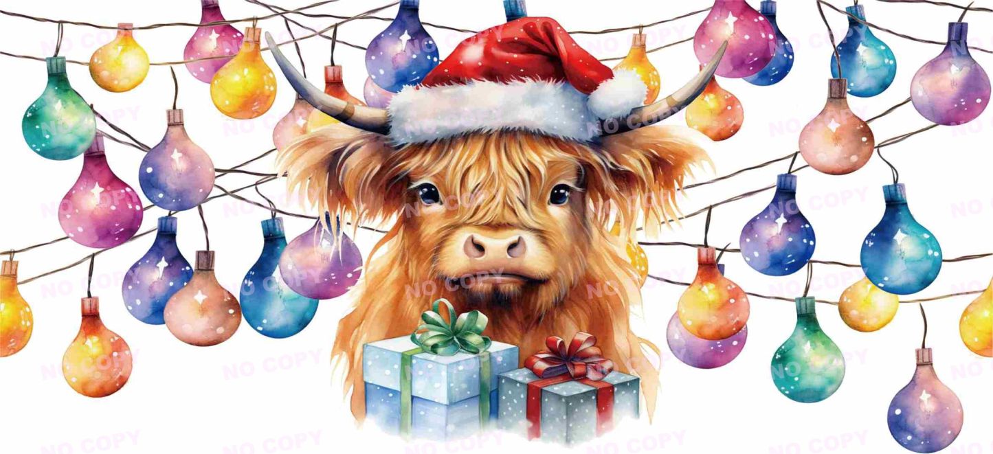 Y21239-Highland Cow