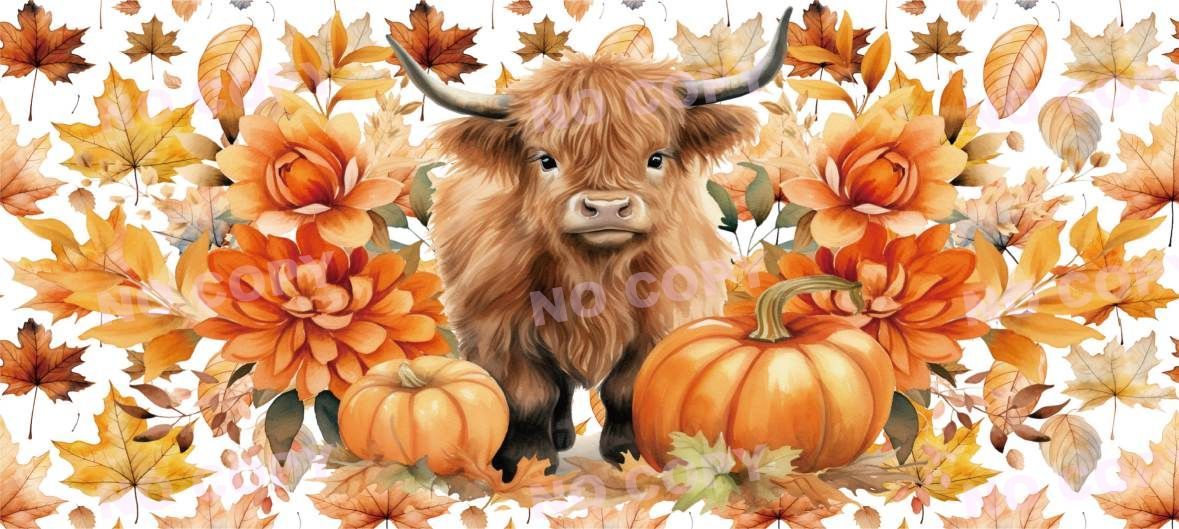 Y21276-Highland Cow