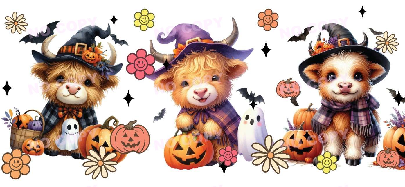 Y21647-Highland Cow