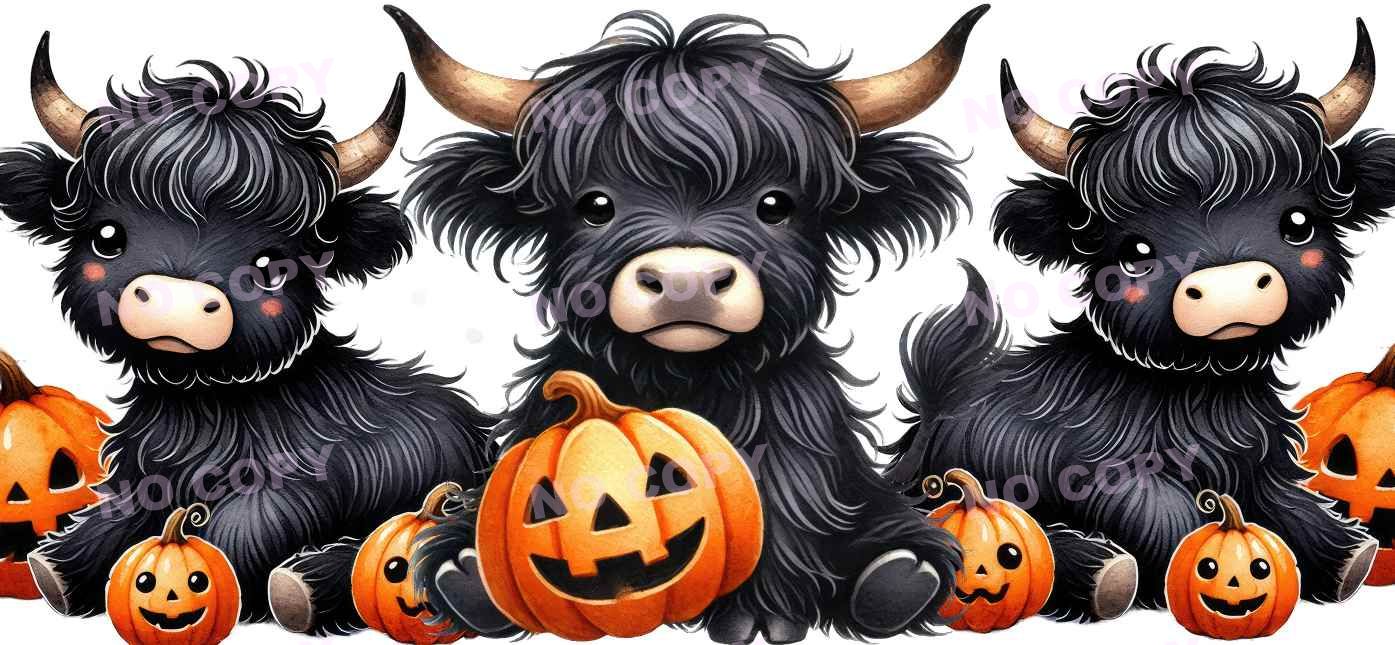 Y21657-Highland Cow