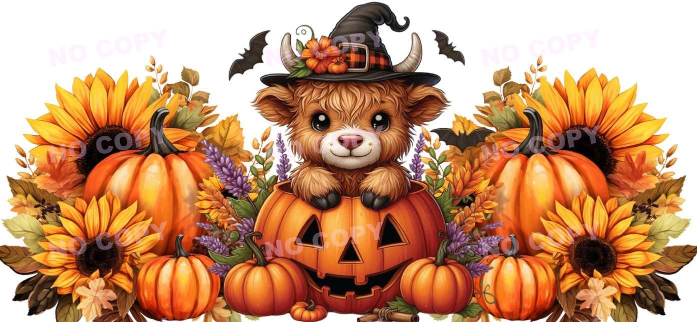 Y21660-Highland Cow