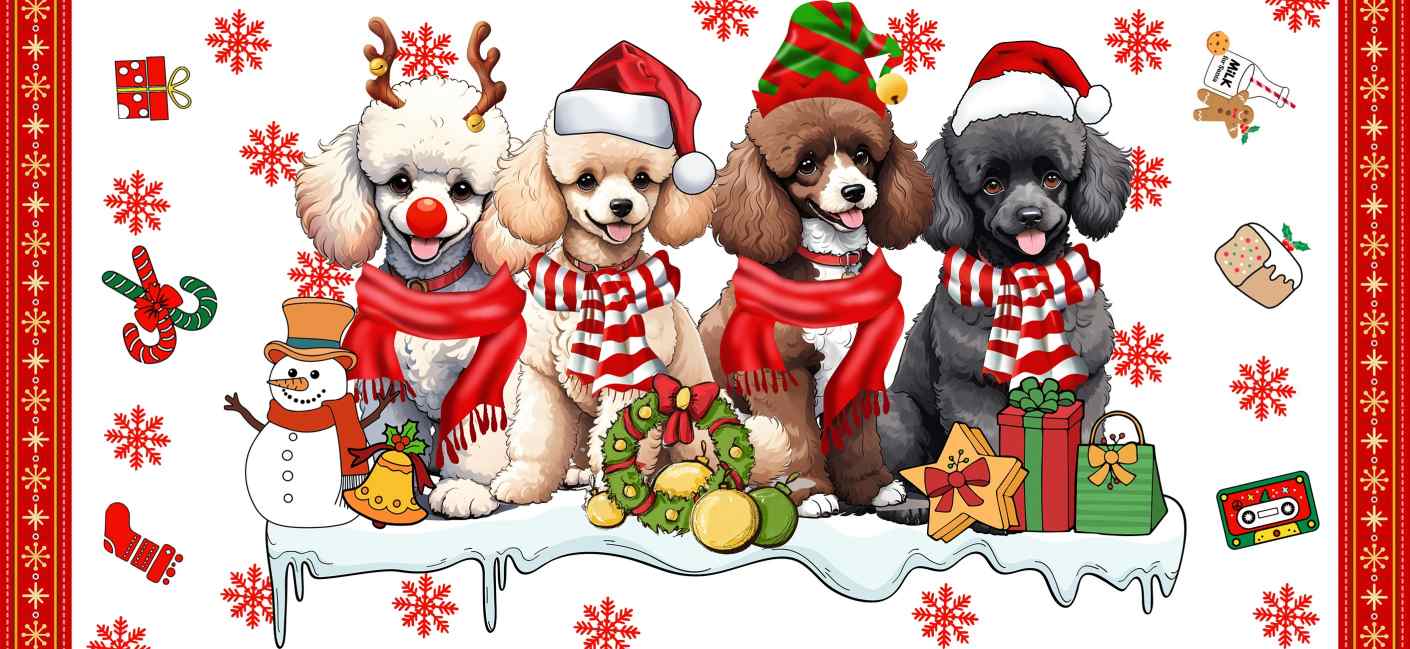 Y22076-Christmas