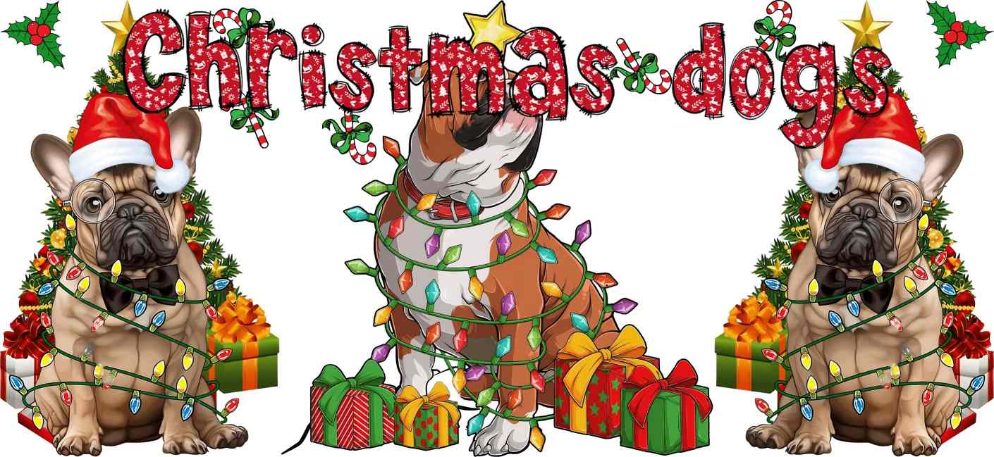 Y22086-Christmas