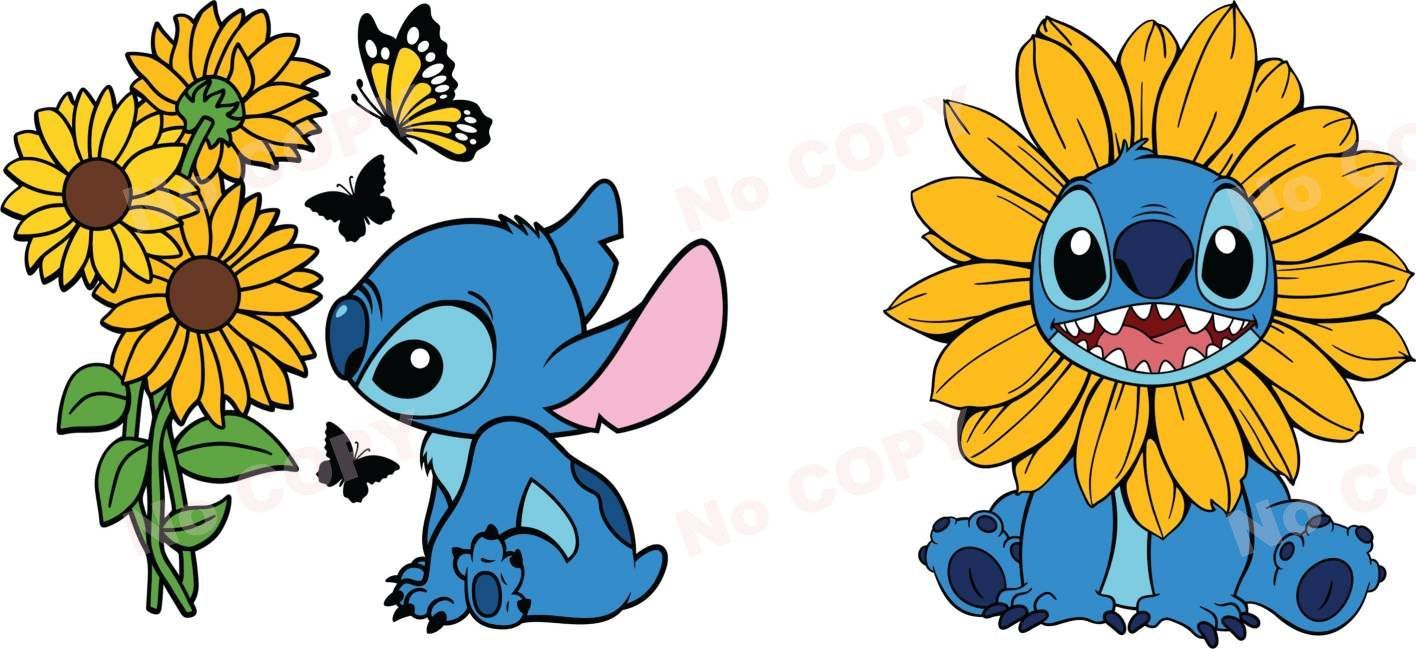 Y2409-Stitch