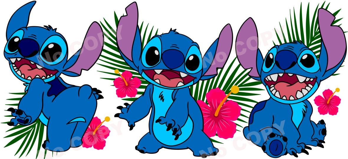 Y2436-Stitch