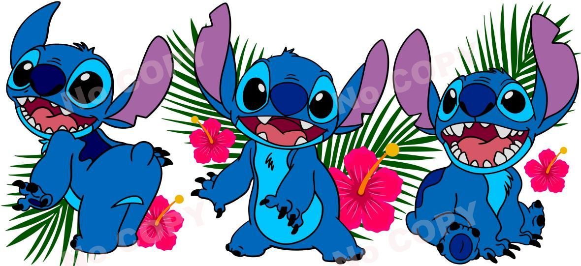 Y2436-Stitch