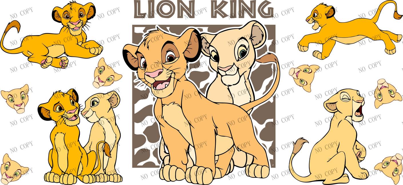 Y24909-Disney