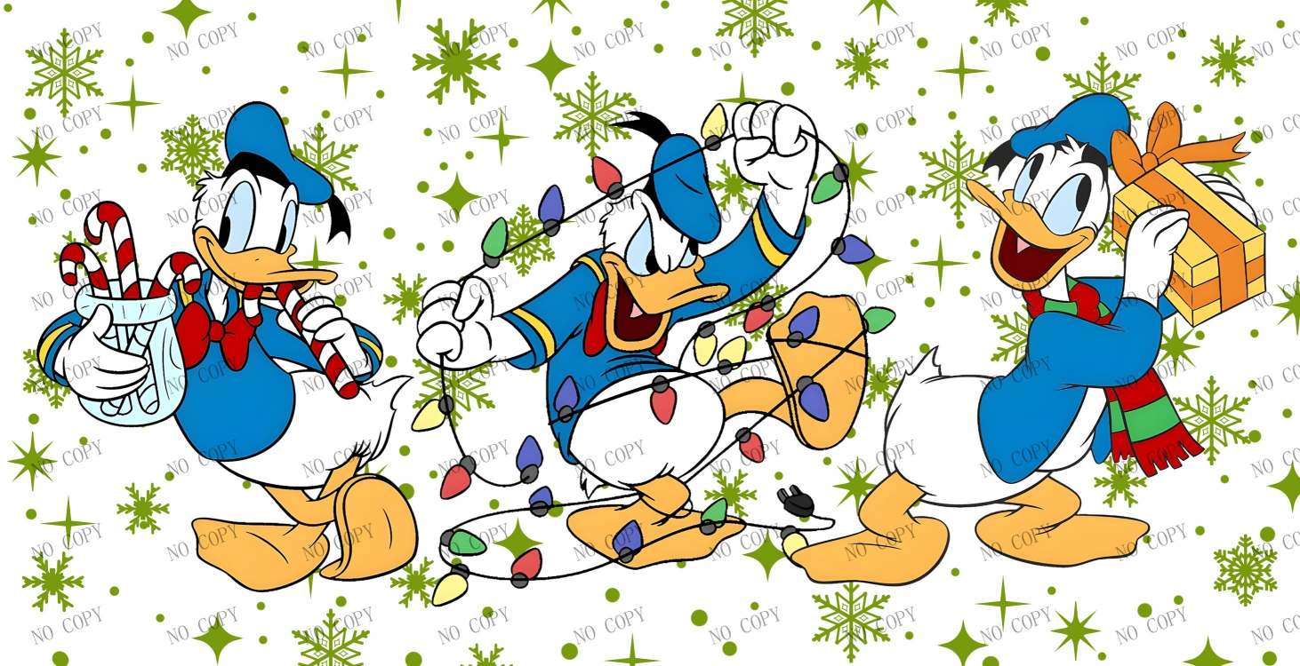 Y25017-Disney