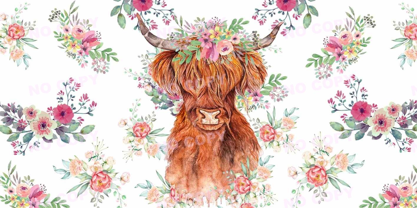Y2546-Highland Cow
