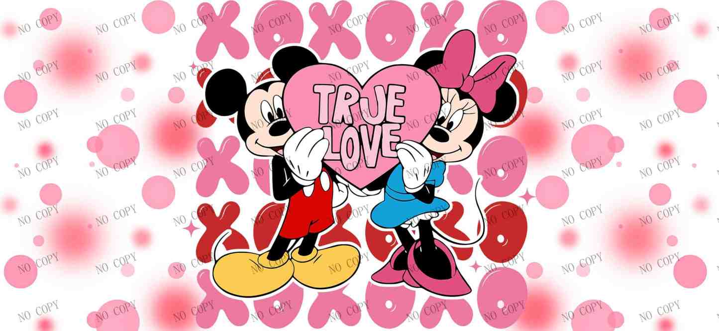 Y27555-Disney