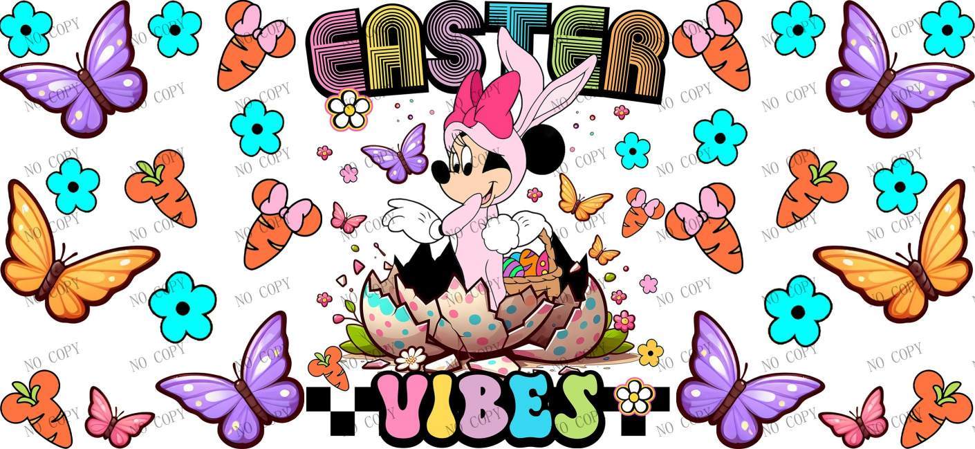 Y27849-Disney