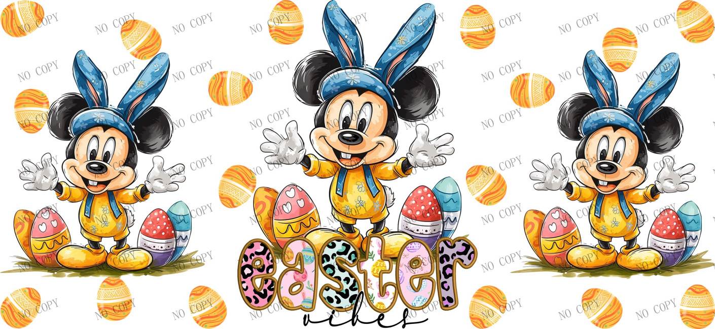 Y27851-Disney