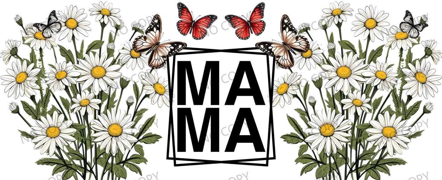 Y29248-MaMa