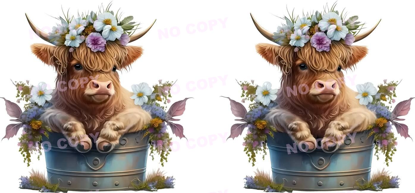 Y2988-Highland Cow