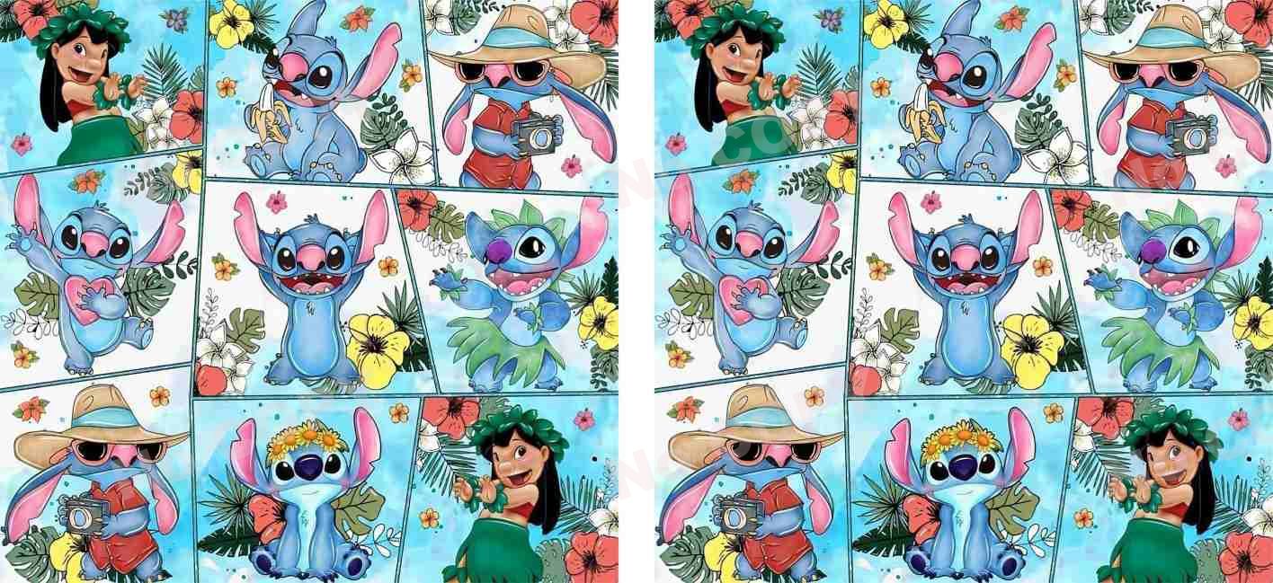 Y3049-Stitch