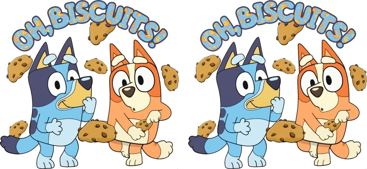 Y31549-Bluey