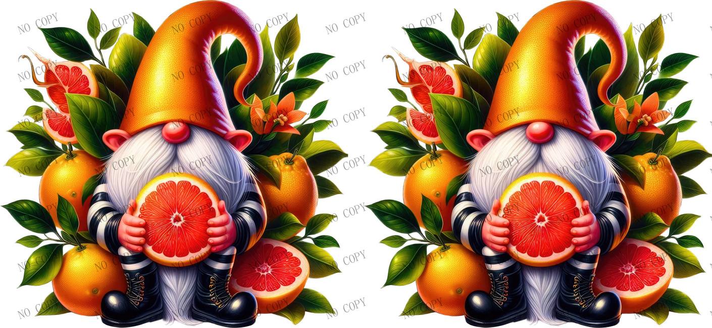Y31723-Food