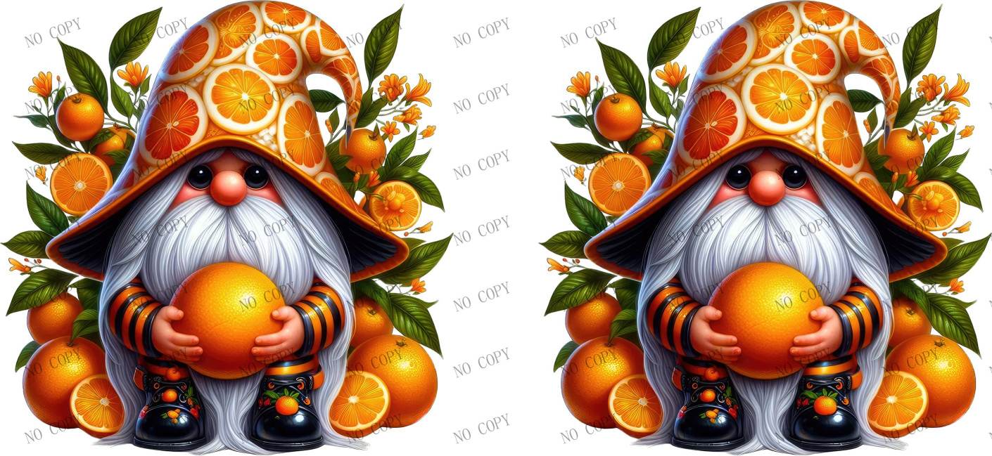 Y31725-Food