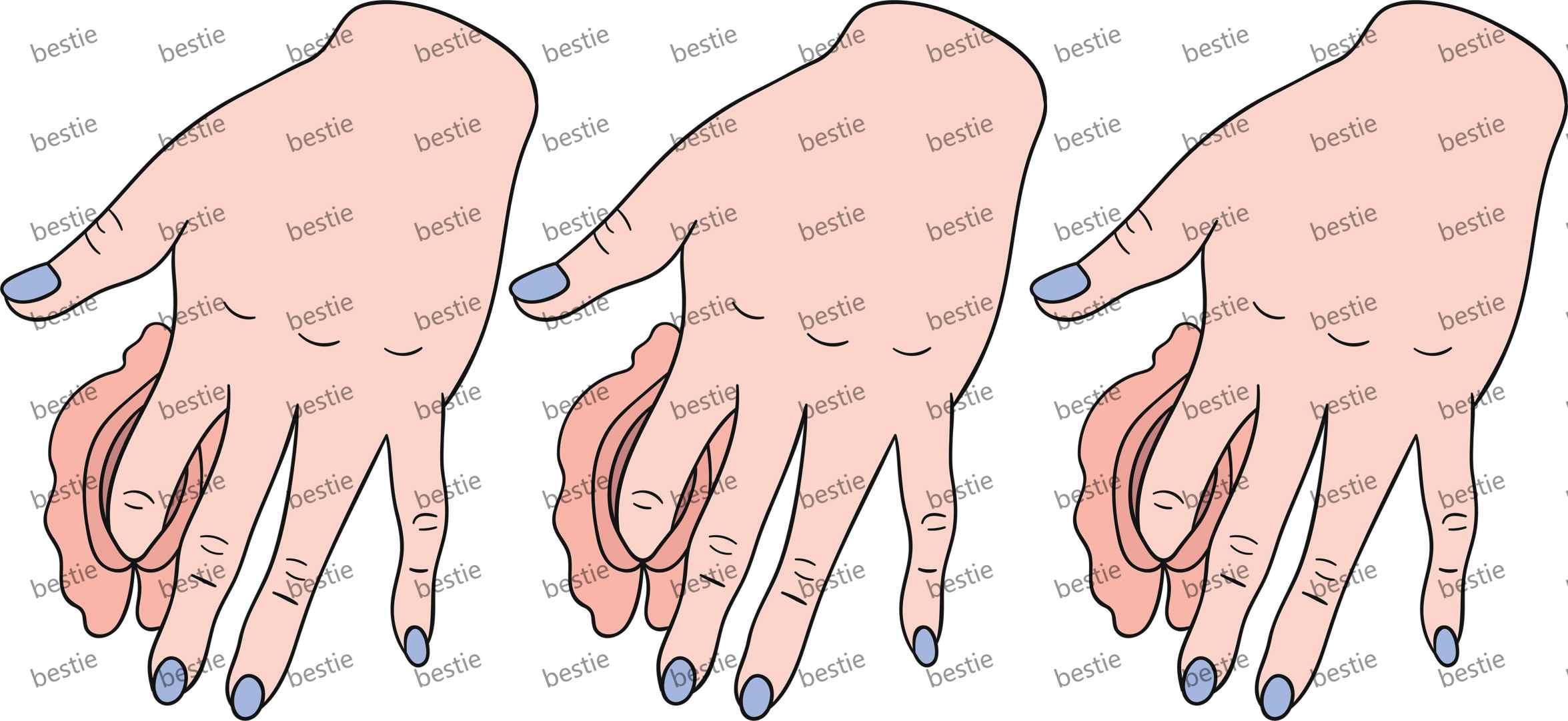 Y33609-Man & Woman Parts