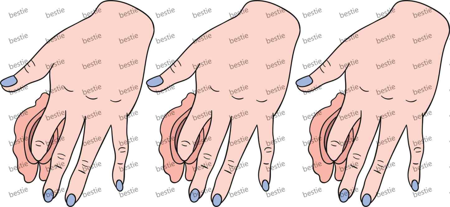 Y33609-Man & Woman Parts