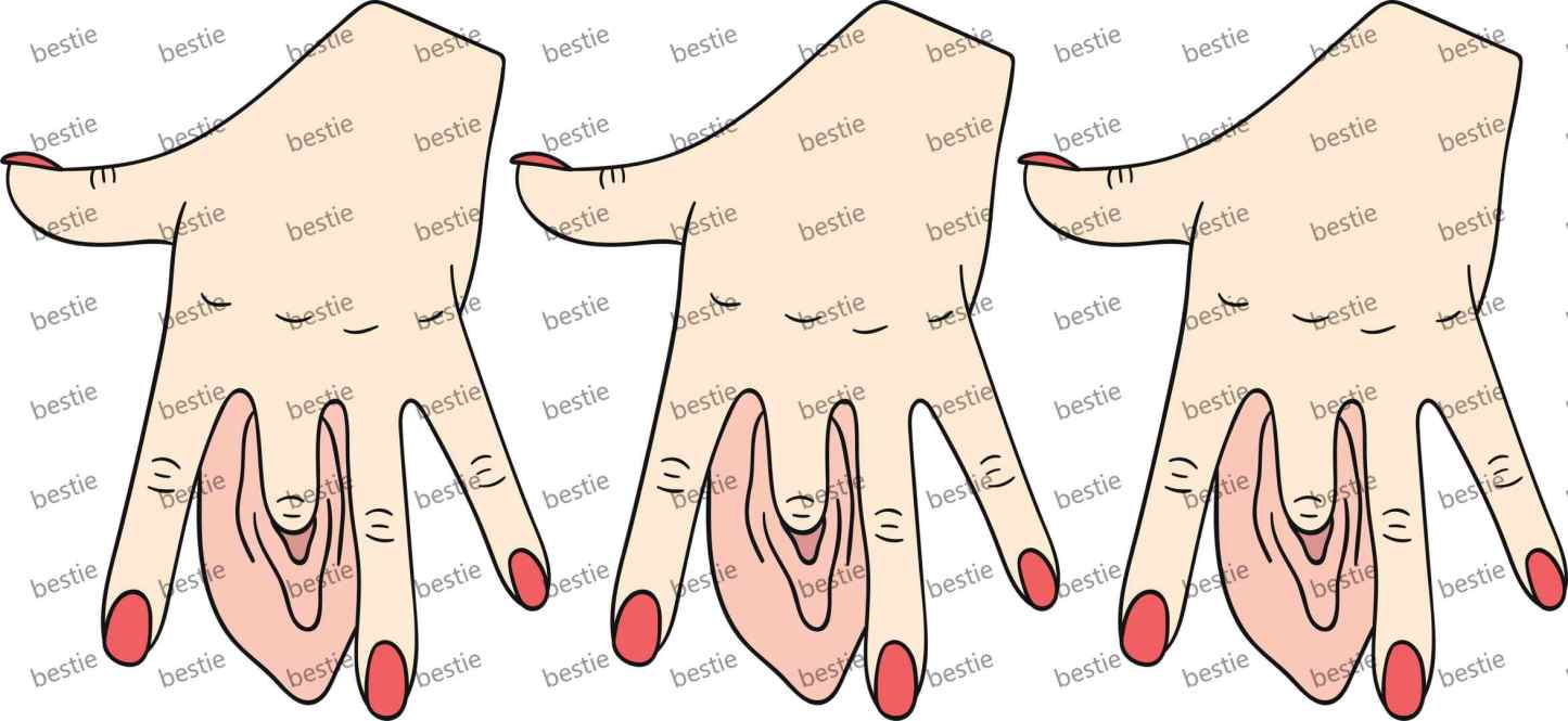 Y33611-Man & Woman Parts