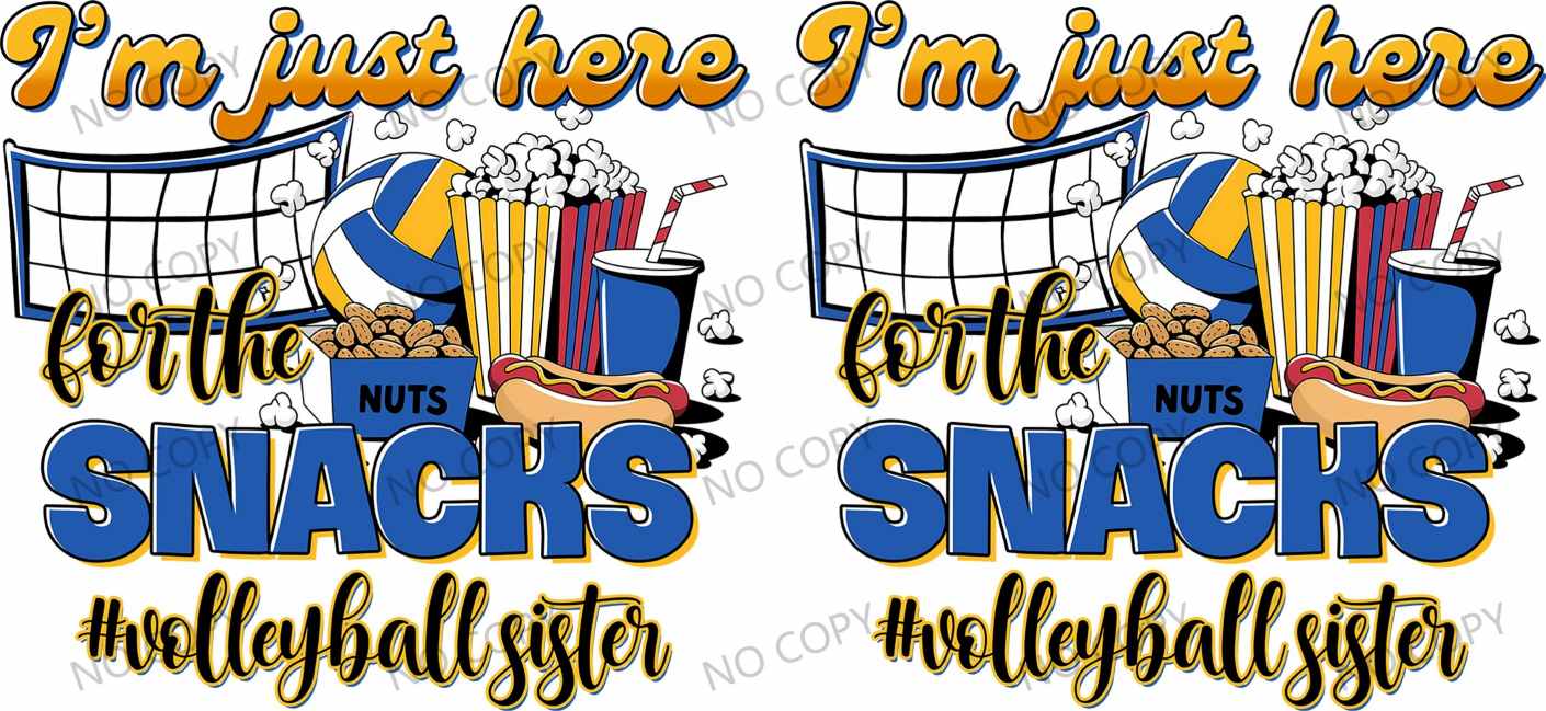 Y36025-Sports Team & others