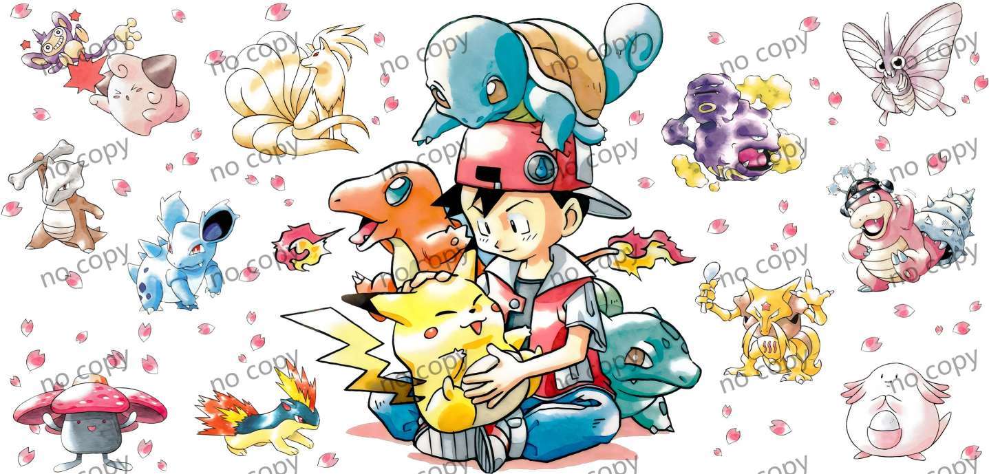 Y4070-Pokemon