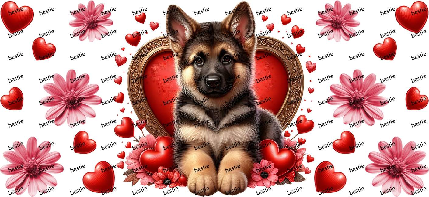 Y40995-Valentine's Day