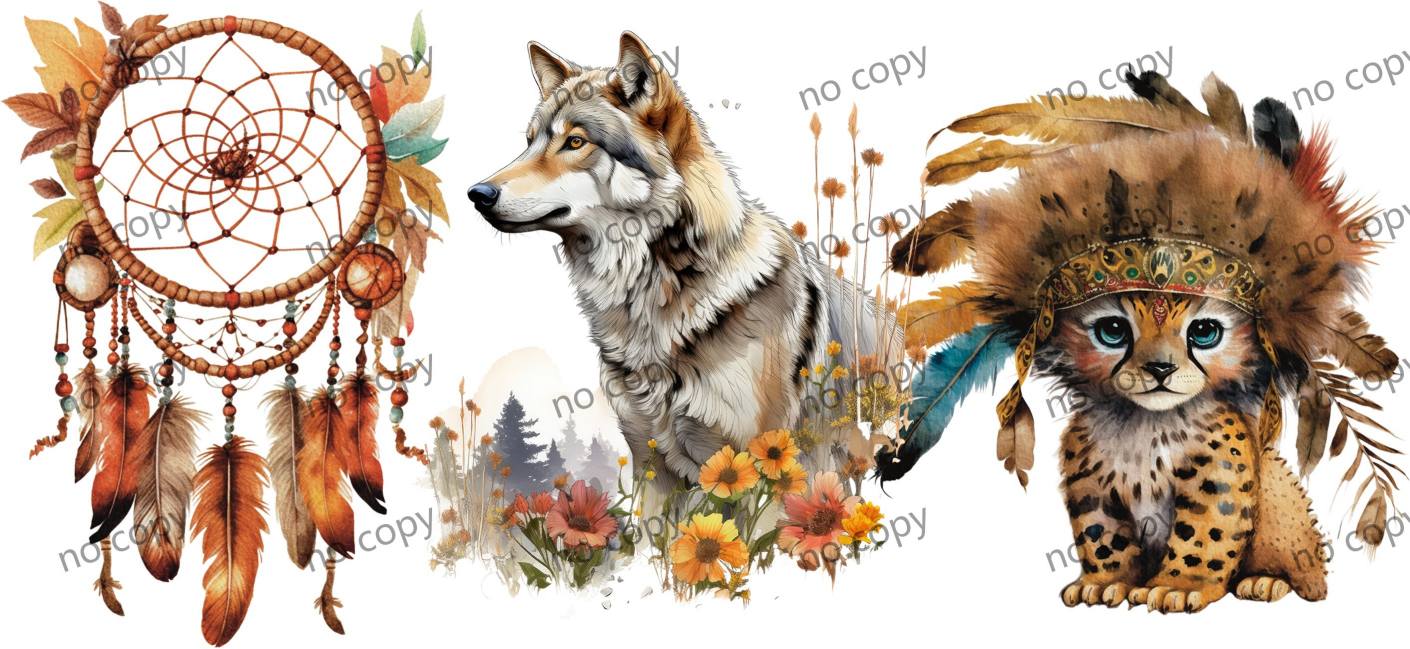 Y44616-Native Americans