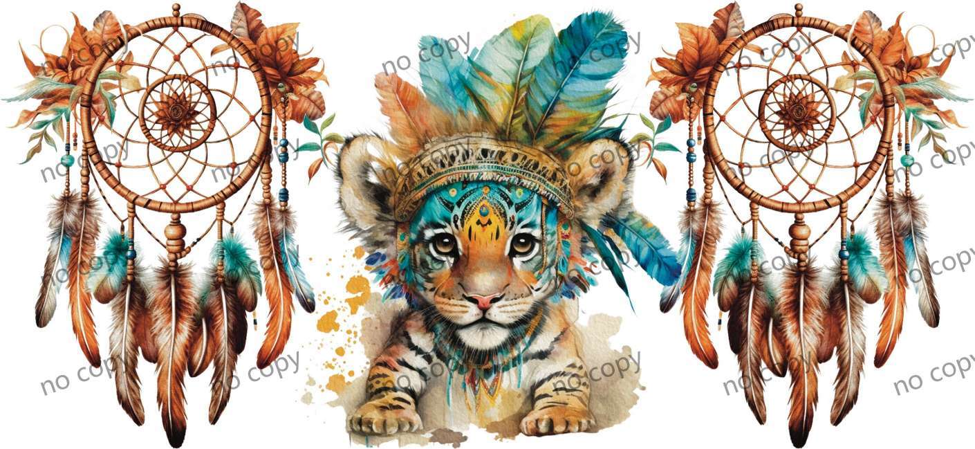 Y44620-Native Americans