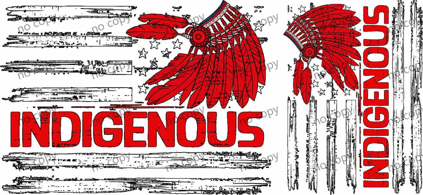 Y44626-Native Americans