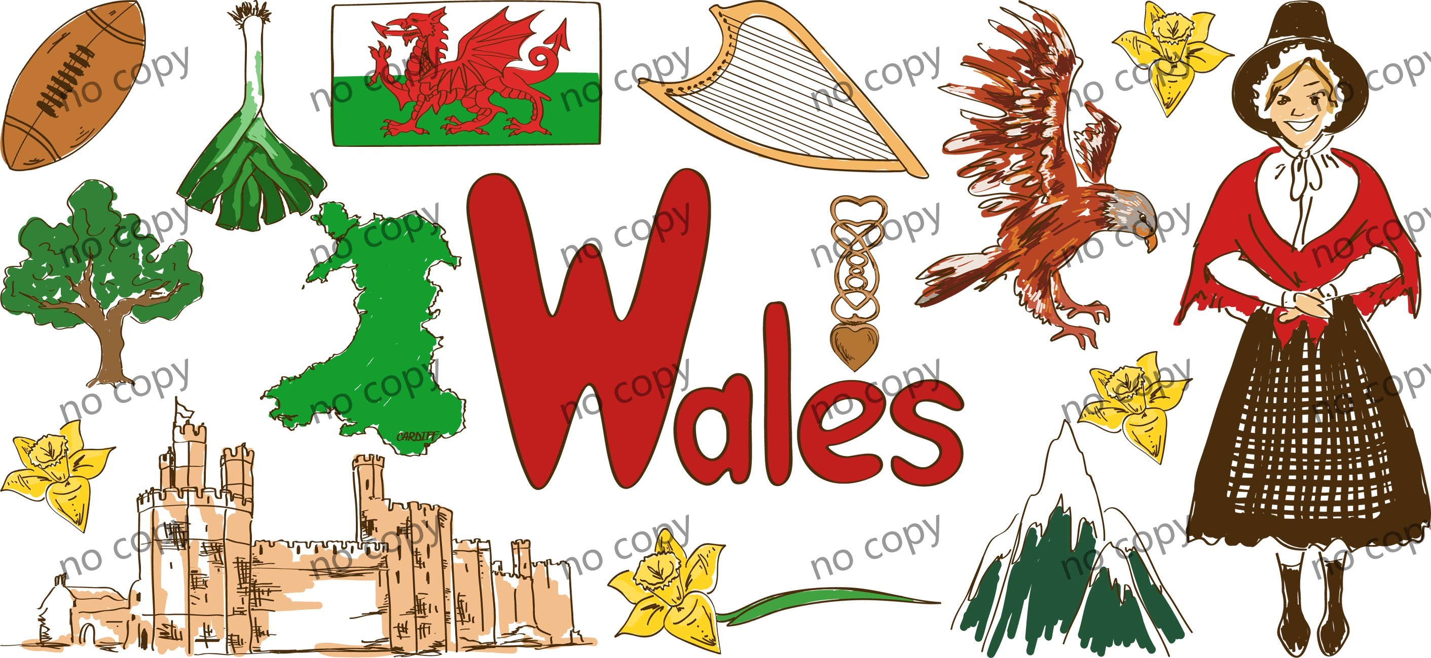 Y45658-Country Region