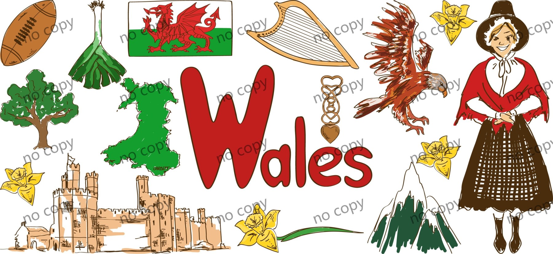 Y45658-Country Region