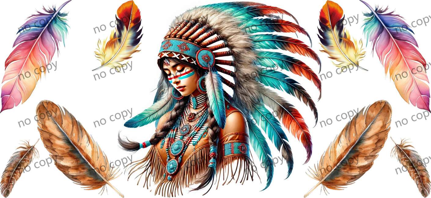 Y46022-Native Americans