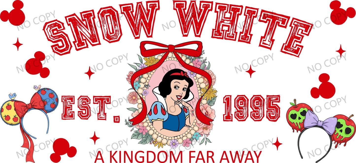 Y48589-Disney Pricess