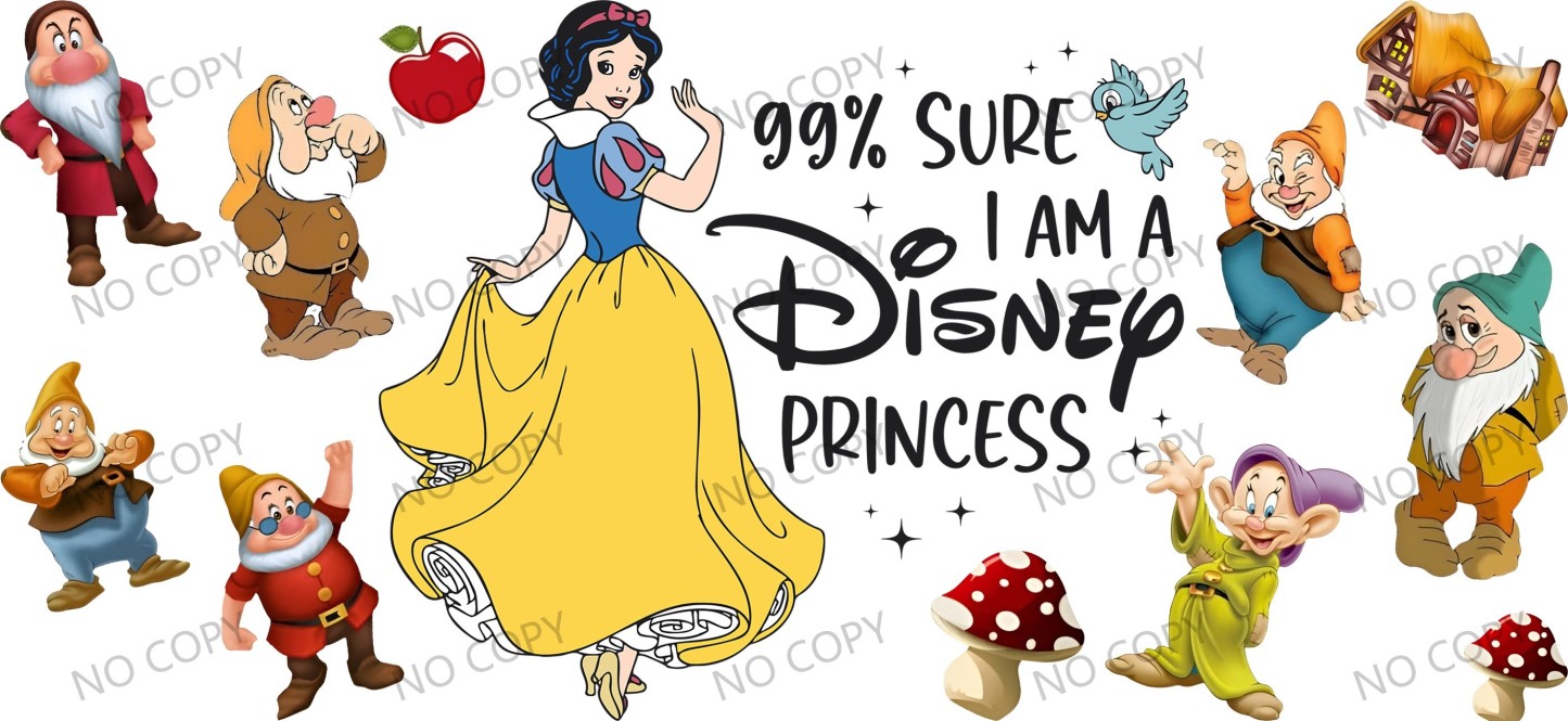 Y49310-Disney Pricess