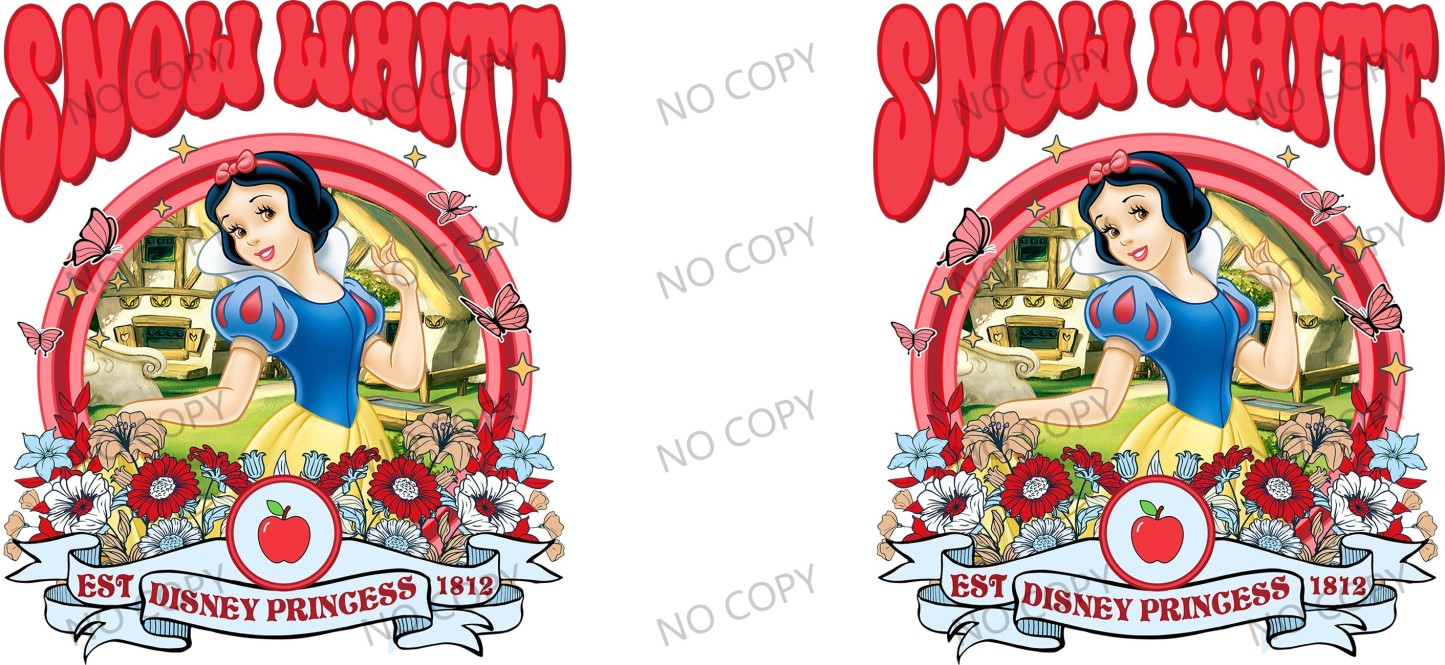 Y49790-Disney Pricess